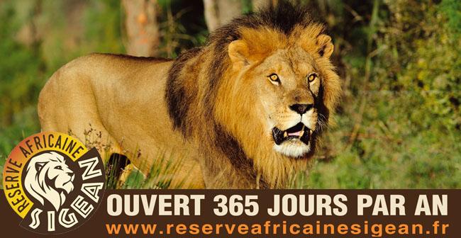 Tentez de gagner des entres pour la Rserve Africaine de Sigean