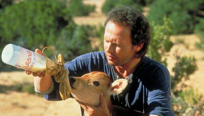 La Vie, l'Amour, les Vaches