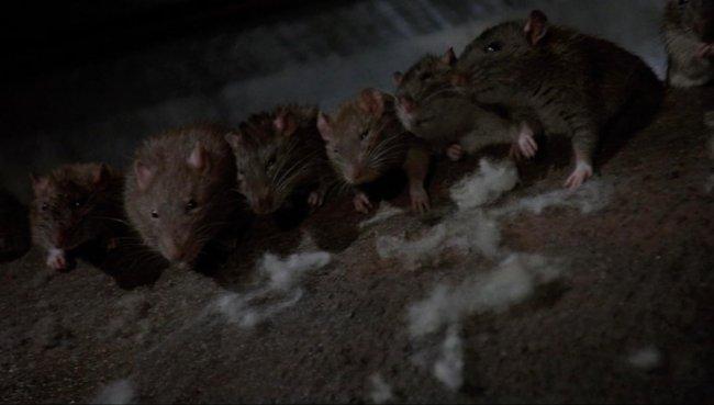 La Créature du Cimetière